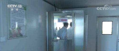 科技赋能植物工厂 北京技术咨询引领蔬菜生长新境界